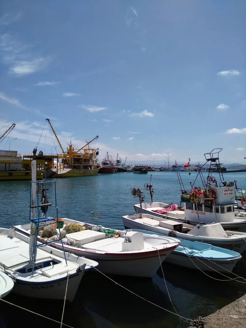Tersane Deniz Suyu Sıcaklığı