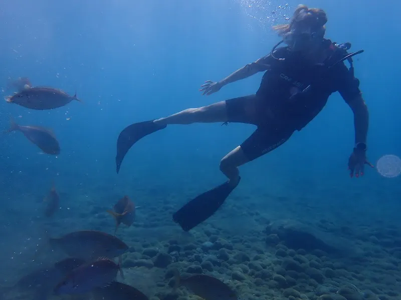 The Waterhoppers Kolymbia Deniz Suyu Sıcaklığı