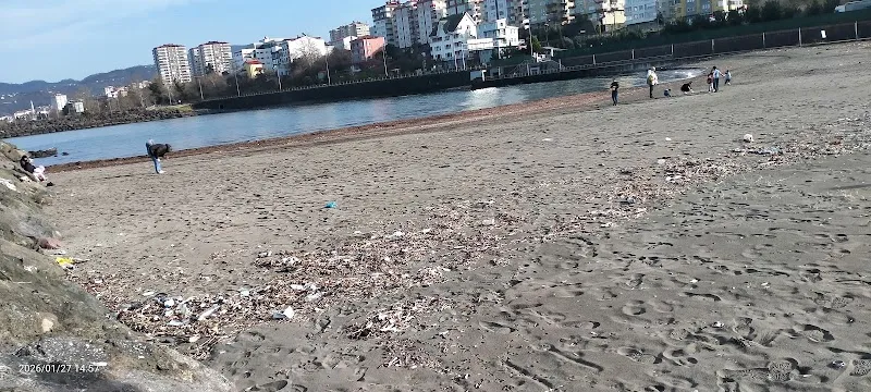 Vakfıkebir Plajı