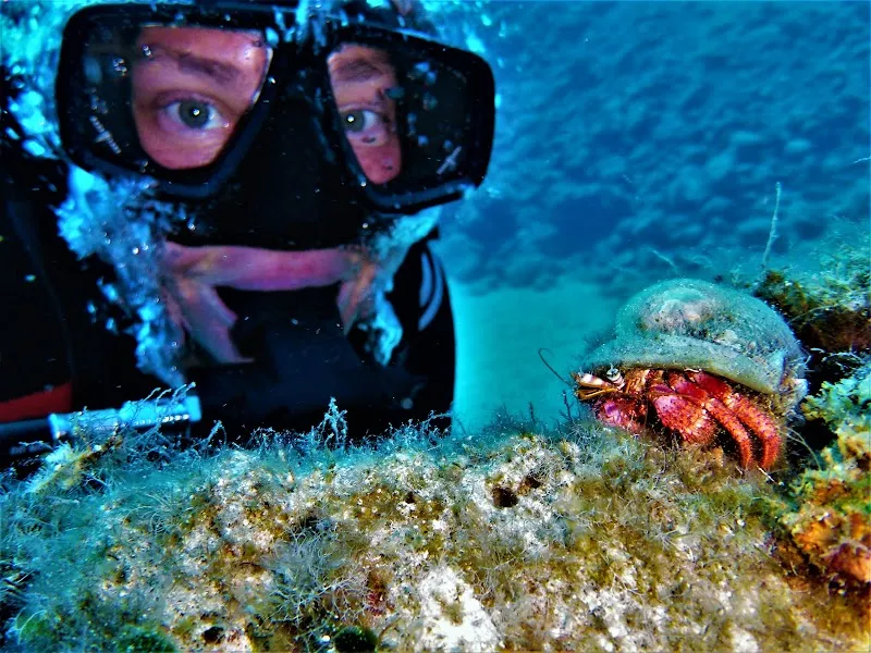 Volcano Bubbles diving school