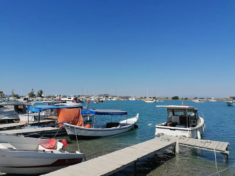 Yat Limanı Deniz Suyu Sıcaklığı